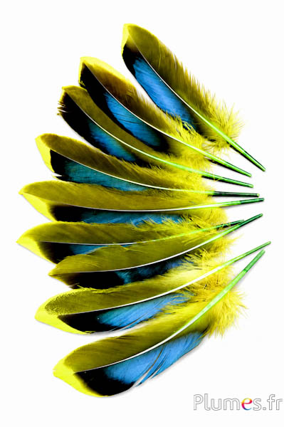 Eend - 8-10 cm - lime